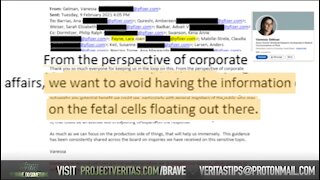 Pfizer Whistleblower With Project Veritas: Company Tried To Hide Use Of Fetal Cells in Vaccine