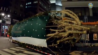 Rockefeller Center Christmas Tree arrives in NYC
