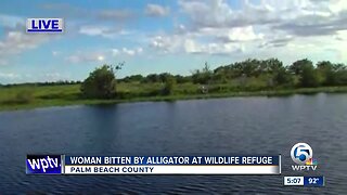 Woman recovers from gator bite