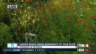 Shangri-la springs opens gardening classes, farm-to-table restaurant 7:00 a.m.