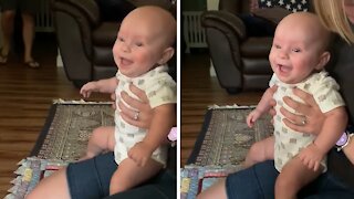 Baby literally can't stop laughing at dog chasing laser pointer
