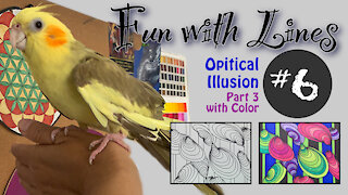 Optical Illusion Pt 3 With Color Lesson #6