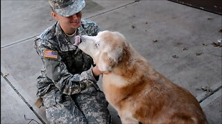 Dog reacts to soldier owner coming home for first time in three-and-a-half months