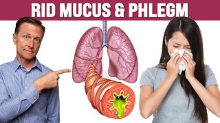 The BEST Respiratory Mucus and Phlegm Remedy for Lung and Sinuses