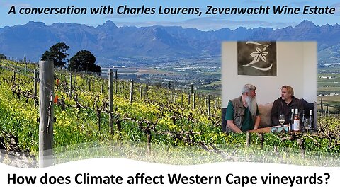 How does Climate affect Western Cape vineyards? | Journey to Zevenwacht
