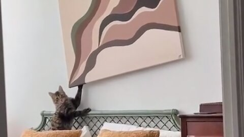 Siberian Cat Takes Matters Into Its Own Paws And 'Helps' With Painting