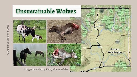 Unsustainable Wolves