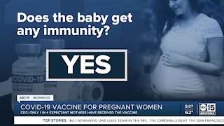 What to know about the COVID-19 vaccine for pregnant women