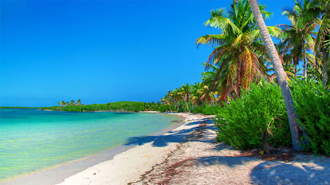 Isla Contoy - Yucatan