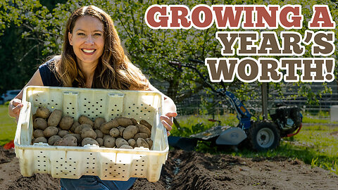 Planting a YEAR'S worth of Potatoes (and some beets!)