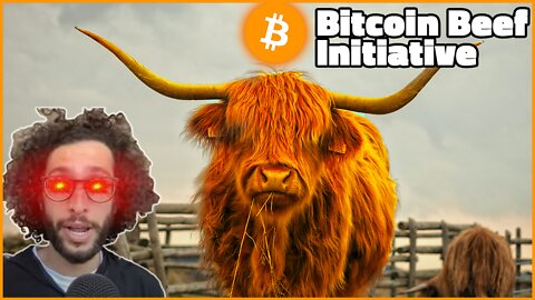 #Bitcoin Beef Initiative