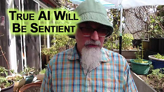 Artificial Intelligence Can Not Be Used Against Us Because True AI Will Be Sentient