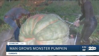 Man Grows Giant Pumpkin