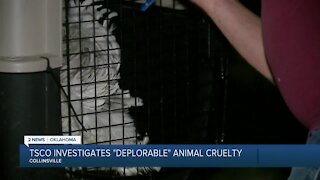 TCSO Investigates Deplorable Animal Cruelty