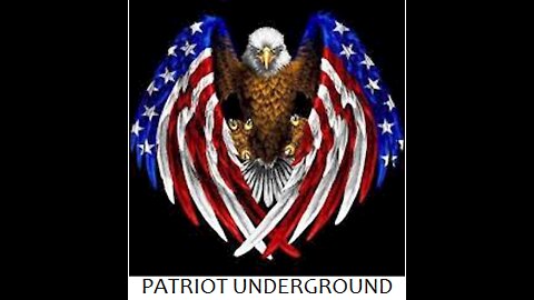 Patriot Underground Interview