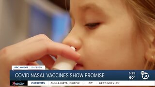 COVID nasal vaccines show promise