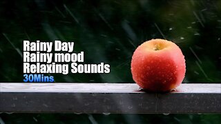 30 Minutes Gentle Rain Sounds for Stress Relief | Relaxing Music | Refreshing Your Mind