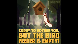 Bird feeder empty [GMG Originals]