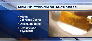 Men indicted on drug charges