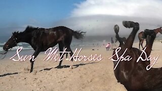 SOUTH AFRICA - Cape Town - Met horses Spa treatment (Video) (SaV)