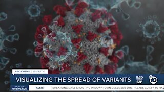 In-Depth: Visualizing the spread of COVID-19 variants
