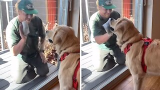 Hard-working doggy "helps" owner clean the windows