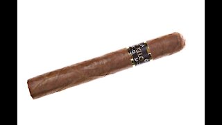 Kilo Toro Cigar Review