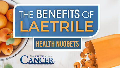 The Truth About Cancer Presents: Health Nuggets - The Benefits of Laetrile
