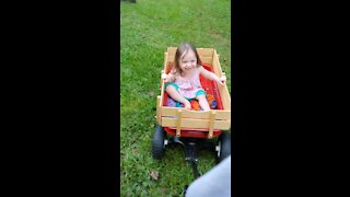 Toddler loves wagon rides