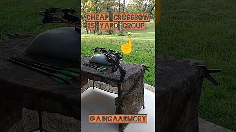 Best cheap compound crossbow? Barnett Expedition XP350 25-yard group.
