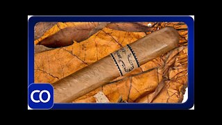 Leaf by Oscar Connecticut Cigar Review