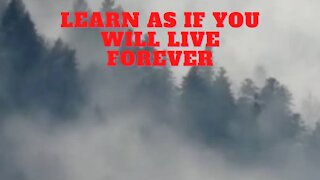 Learn as if you will live forever #shorts #motivation