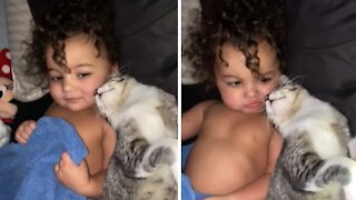 Cat preciously cuddles with toddler for bedtime