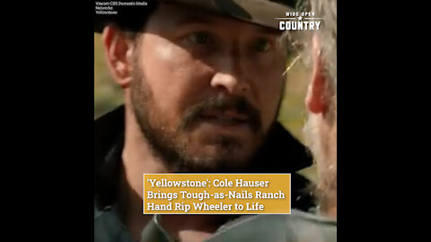 'Yellowstone': Cole Hauser Brings Tough-as-Nails Ranch Hand Rip Wheeler to Life