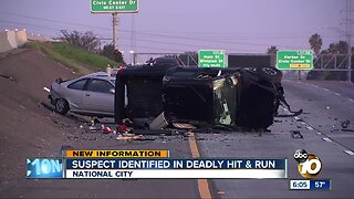 Suspect identified in deadly National City hit-and-run