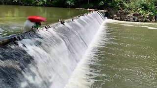 Kayaker Performs Incredible Back-flip Stunt Over Dam
