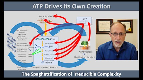 The spaghettification of irreducible complexity: ATP drives its own creation