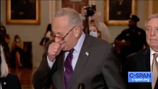 Schumer Sneezes Into His Hand Then Refuses To Wear A Mask