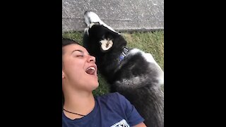 Vocal husky sings along with her owner