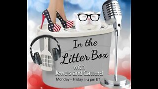 Panic in the White House - In the Litter Box w/ Jewels & Catturd 10/6/2022 - Ep. 183