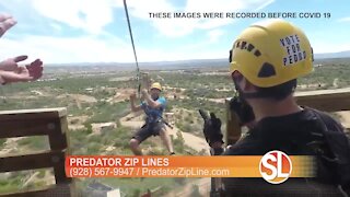 Predator Zip Line: A great family spring break adventure