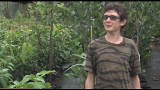 Teen on mission to get fruit trees to the Bahamas