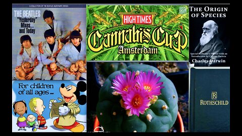 Disney Grooming Cabal Darwin Rothschilds Beatles Peyote Third Eye Cannabis Cup Amsterdam White Hats