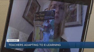 Teachers adjust to e-learning during COVID-19 crisis