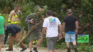 Storms knock down trees, block a street in Hobe Sound
