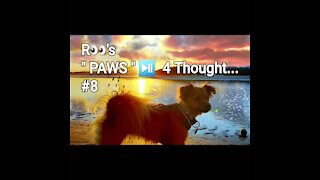 ' PAWs ' ⏯ 4 Thought...