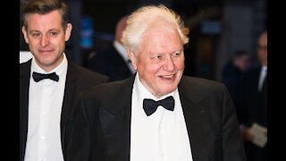 Sir David Attenborough has joined Instagram!