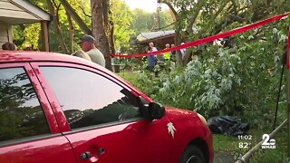 19 people injured after a tree falls on a garage in Pasadena