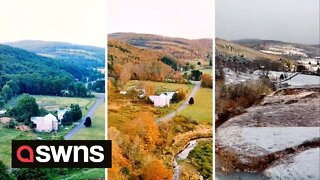 Stunning drone footage shows forest changing colours as seasons pass