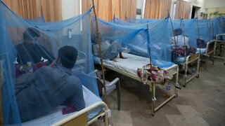 COVID-19 Prevention Efforts Are Hampering Dengue Fever Efforts